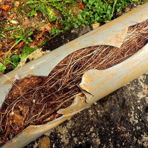 Same Day Drain Sewer & Rooter Pros Across Freedom